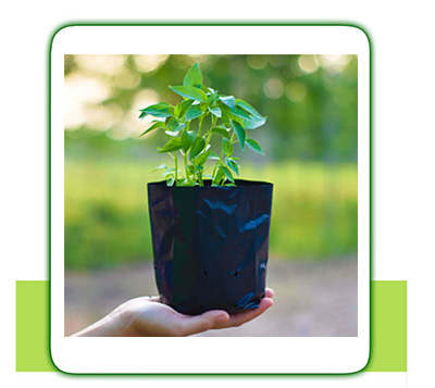 Nursery Bags, Polyfix Pvt Ltd, Polythene industrial company in Sri Lanka, recycle polythene manufacturer in Sri lanka